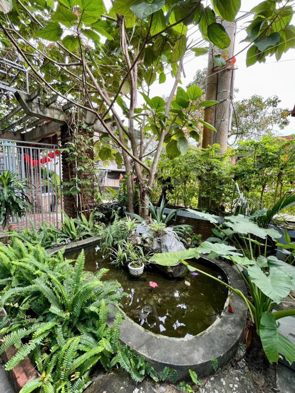 An An Homestay Bungalow Phong Nha Bagian luar foto